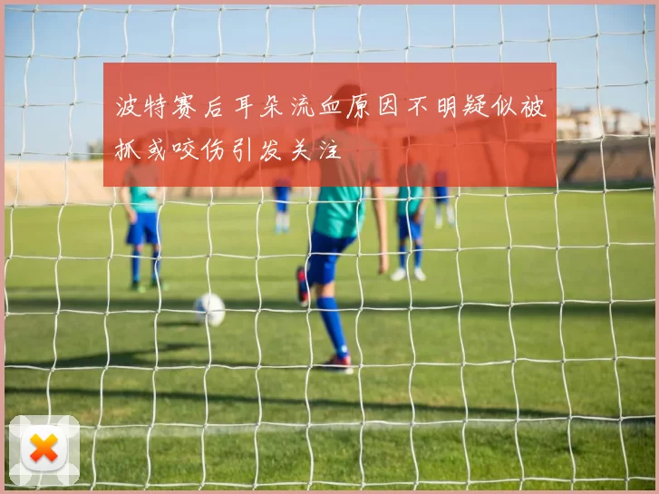 波特赛后耳朵流血原因不明疑似被抓或咬伤引发关注